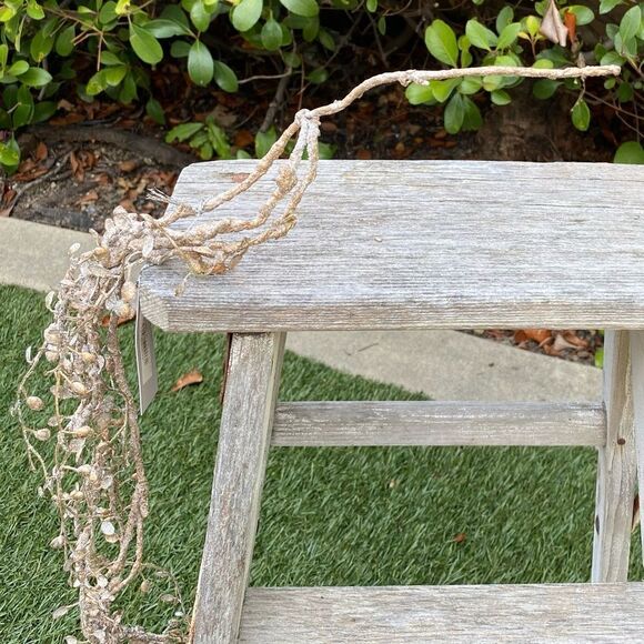 NWT New Winward Home Gold Shimmer Holiday Eucalyptus Winter Leaf Vine Garland - Picture 8 of 14